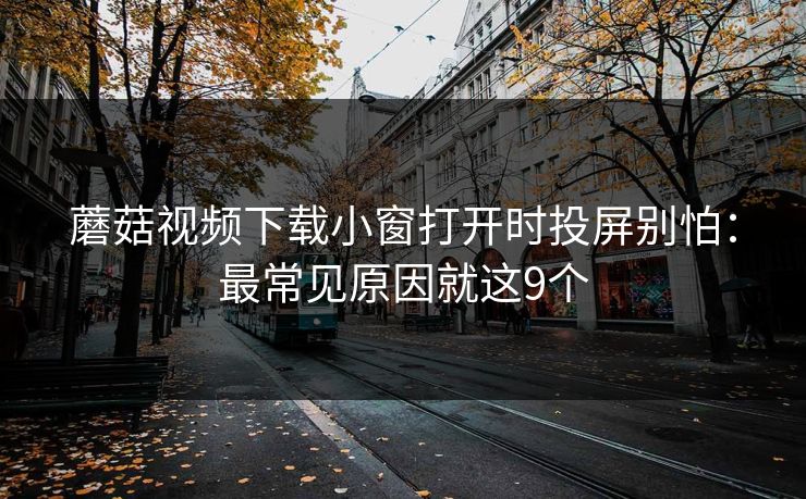 蘑菇视频下载小窗打开时投屏别怕：最常见原因就这9个