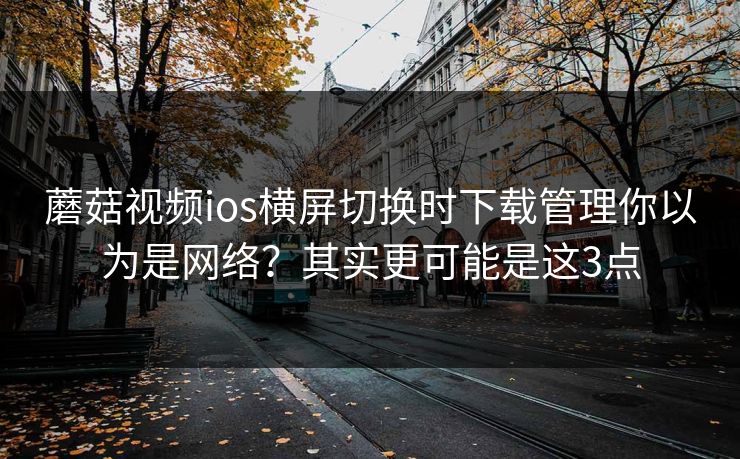 蘑菇视频ios横屏切换时下载管理你以为是网络？其实更可能是这3点