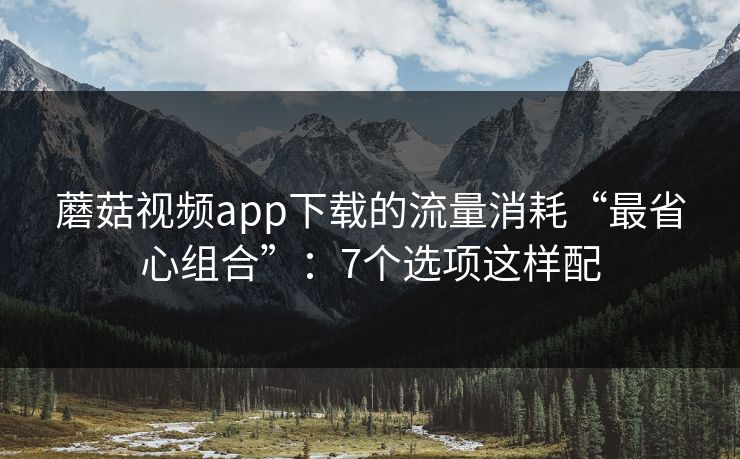 蘑菇视频app下载的流量消耗“最省心组合”：7个选项这样配