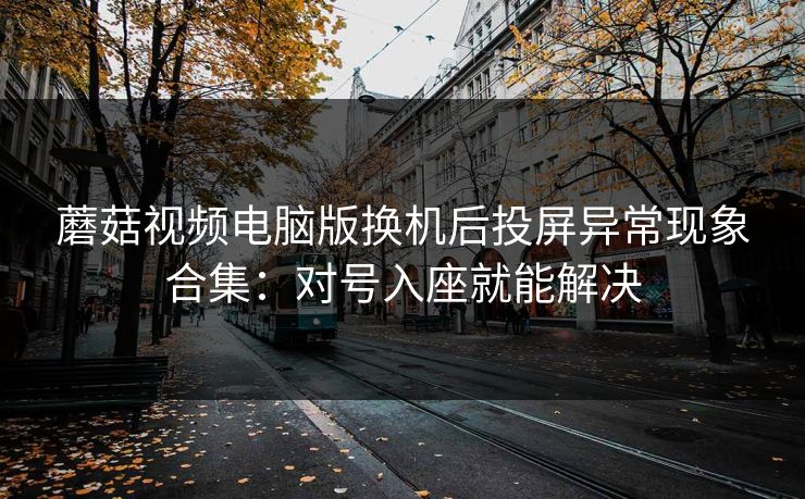 蘑菇视频电脑版换机后投屏异常现象合集：对号入座就能解决