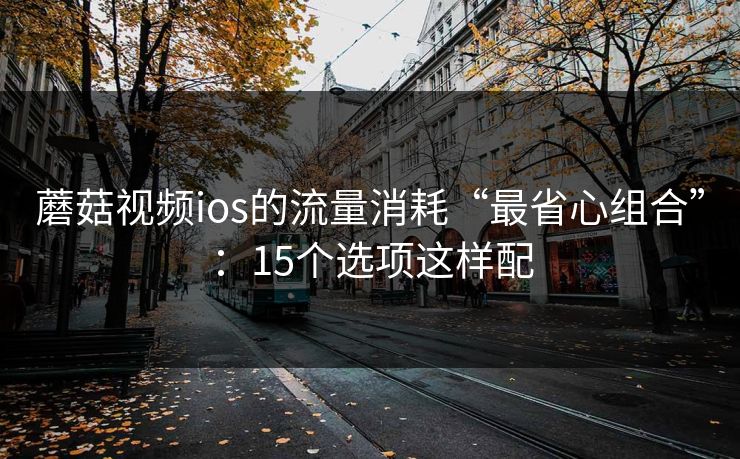 蘑菇视频ios的流量消耗“最省心组合”：15个选项这样配